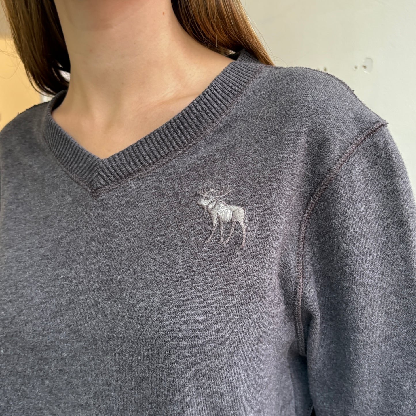 Abercrombie & Fitch Pullover