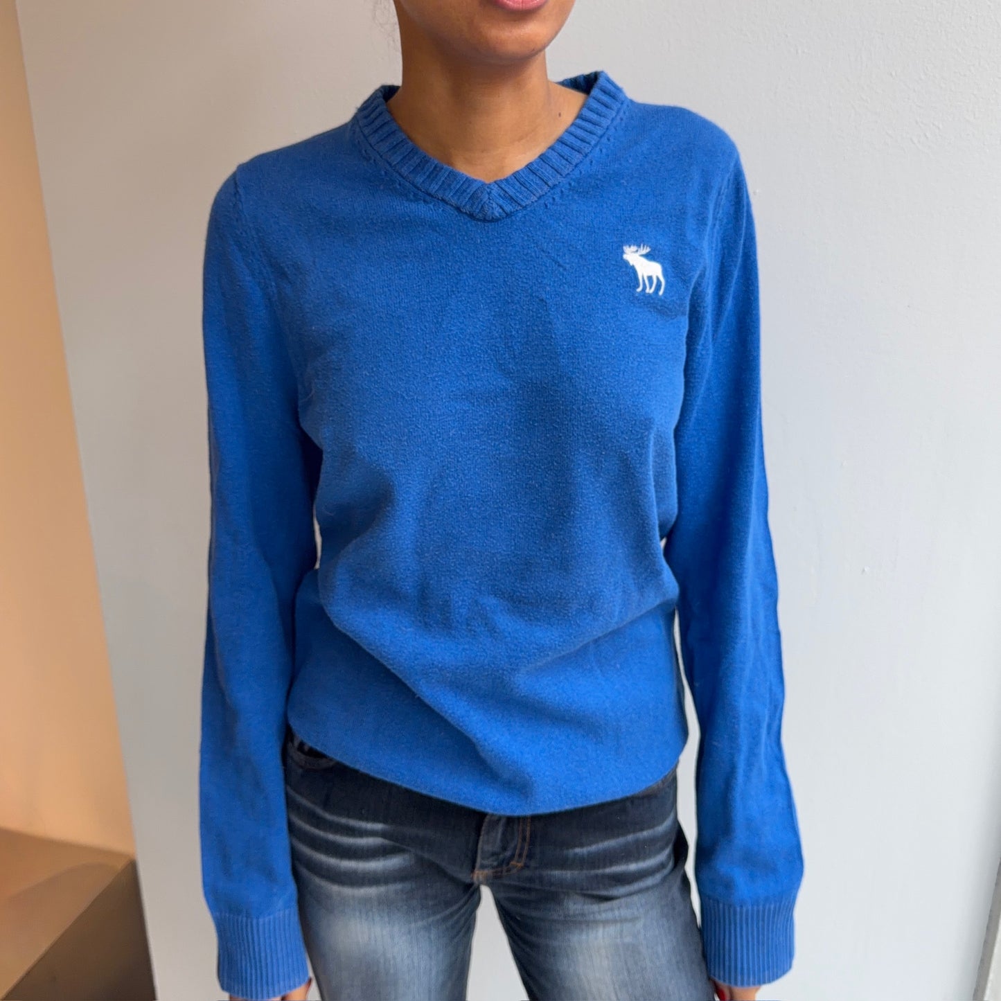 Abercrombie & Fitch Sweater