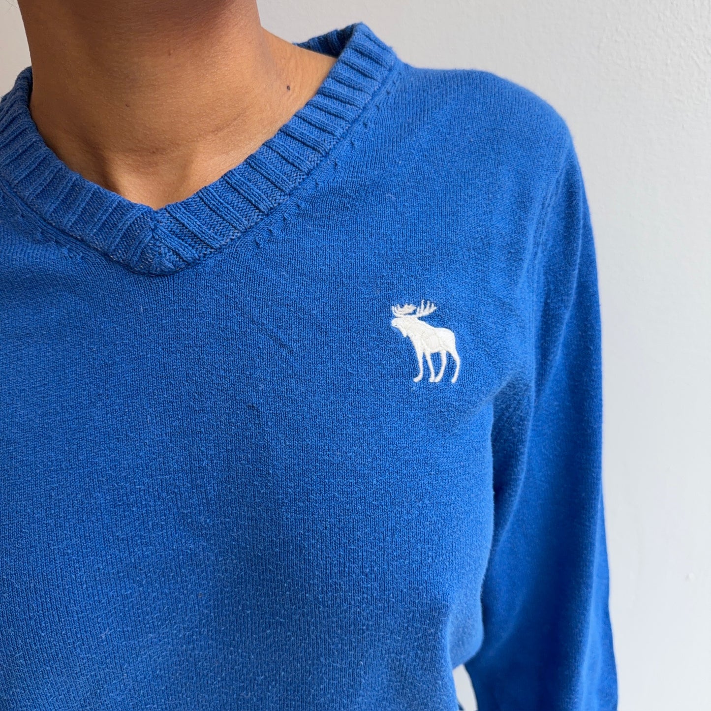 Abercrombie & Fitch Sweater